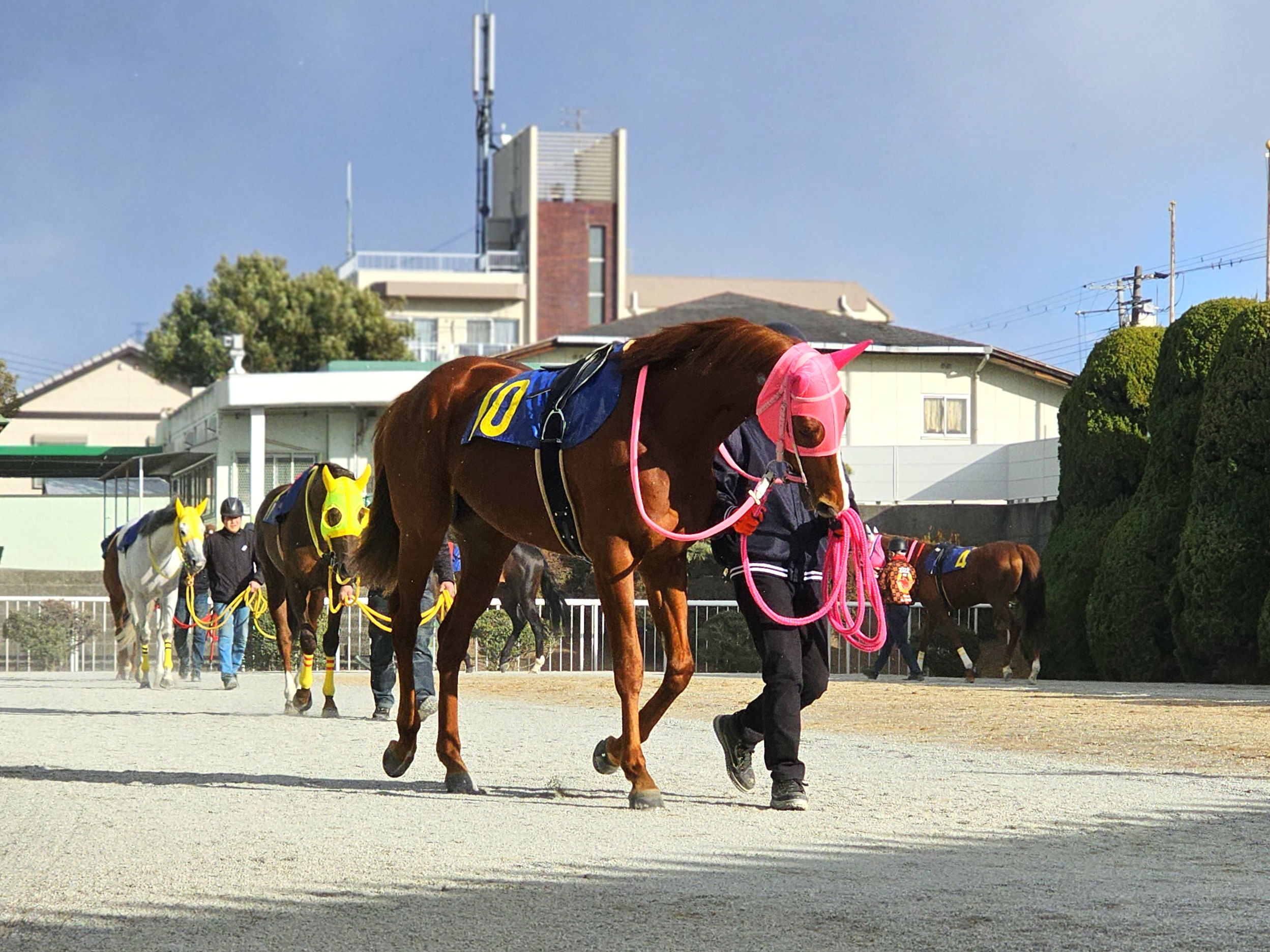 レイアンドダンスのサブ画像