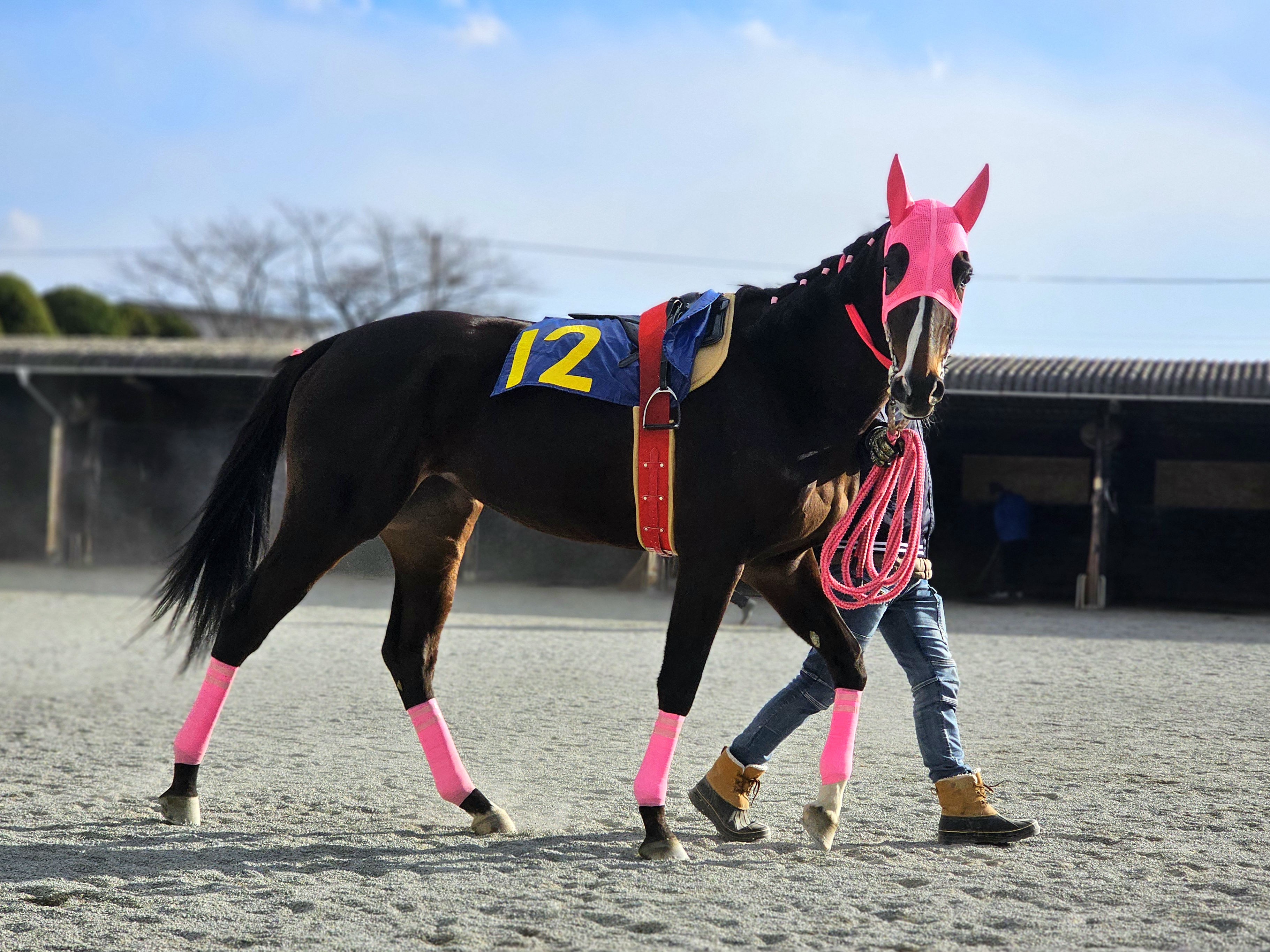 デンタルフロスの画像