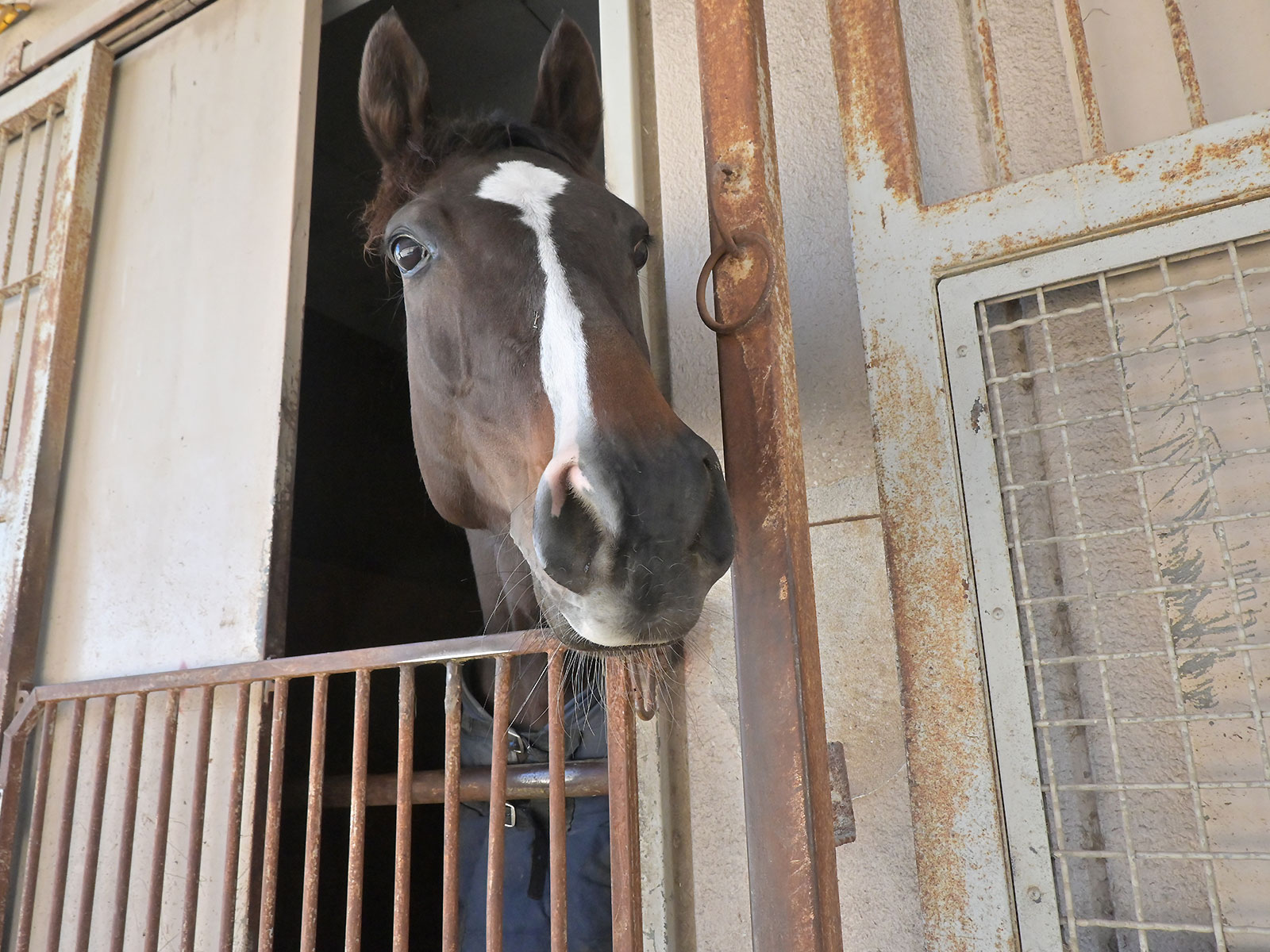 デンタルフロスのサブ画像