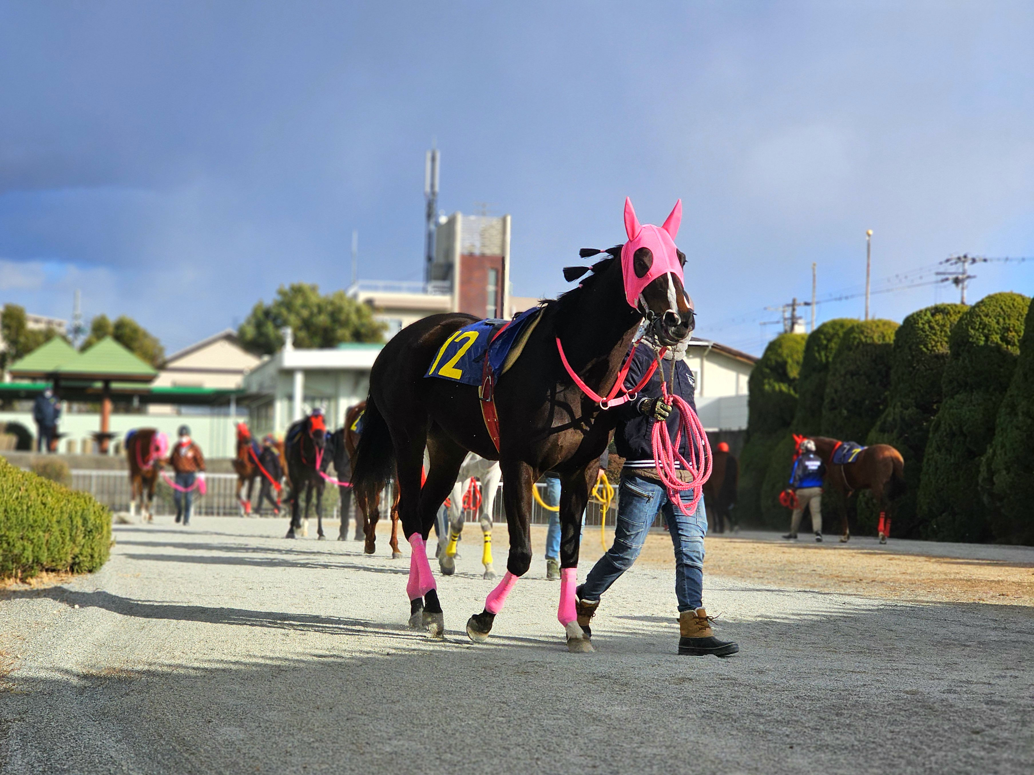 デンタルフロスのサブ画像