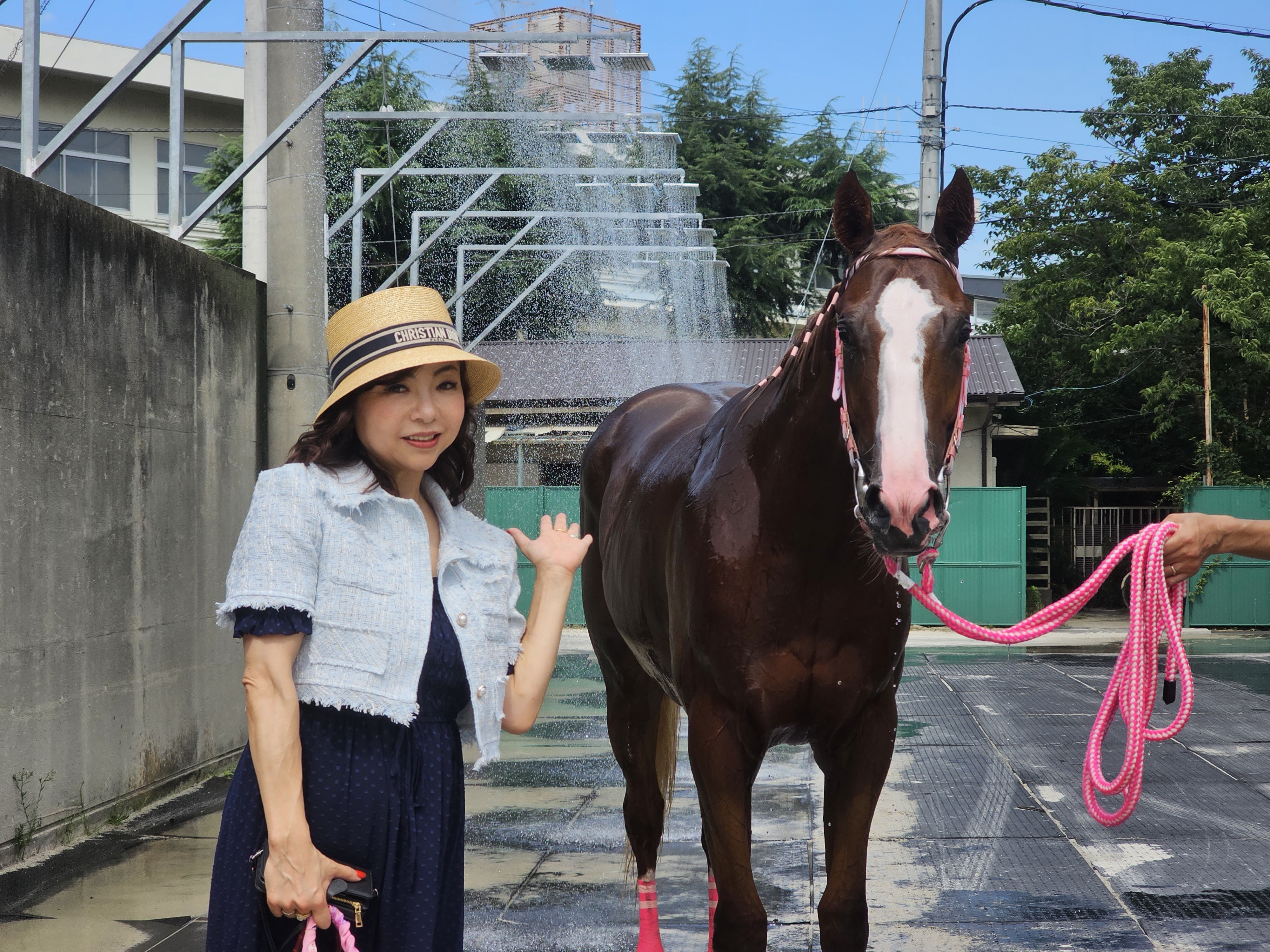 マミエミモモタローのサブ画像