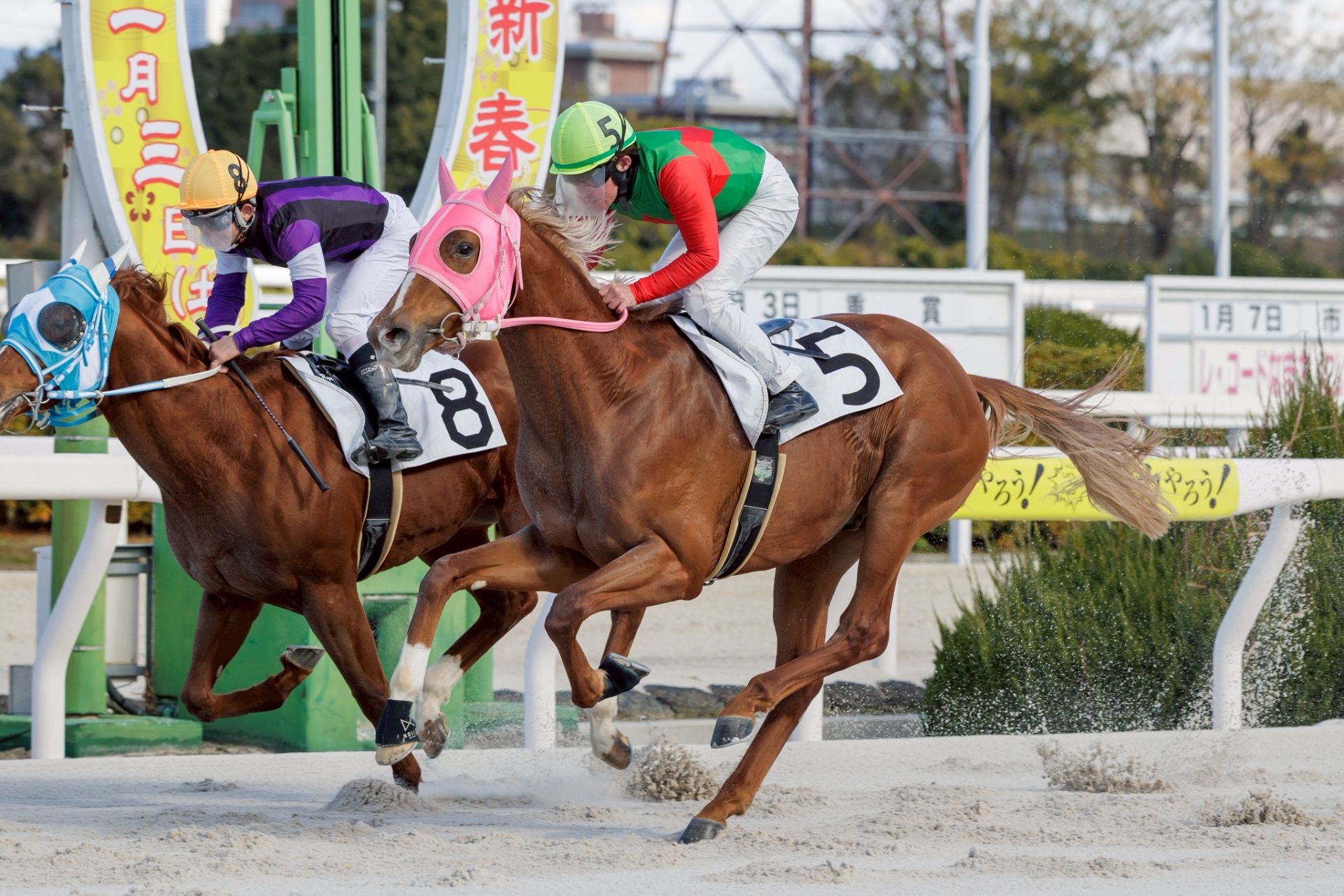 ベラジオソニックの画像