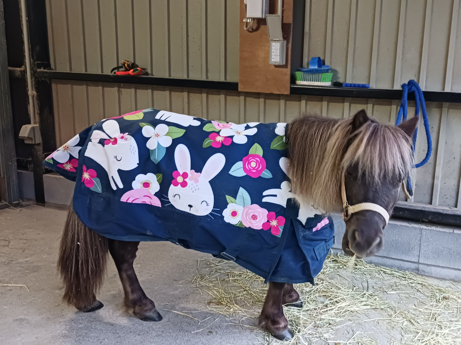 ちーびー（ミスターチービー）のサブ画像