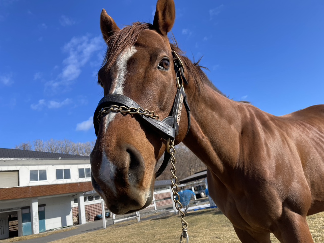 セイウンコウセイ