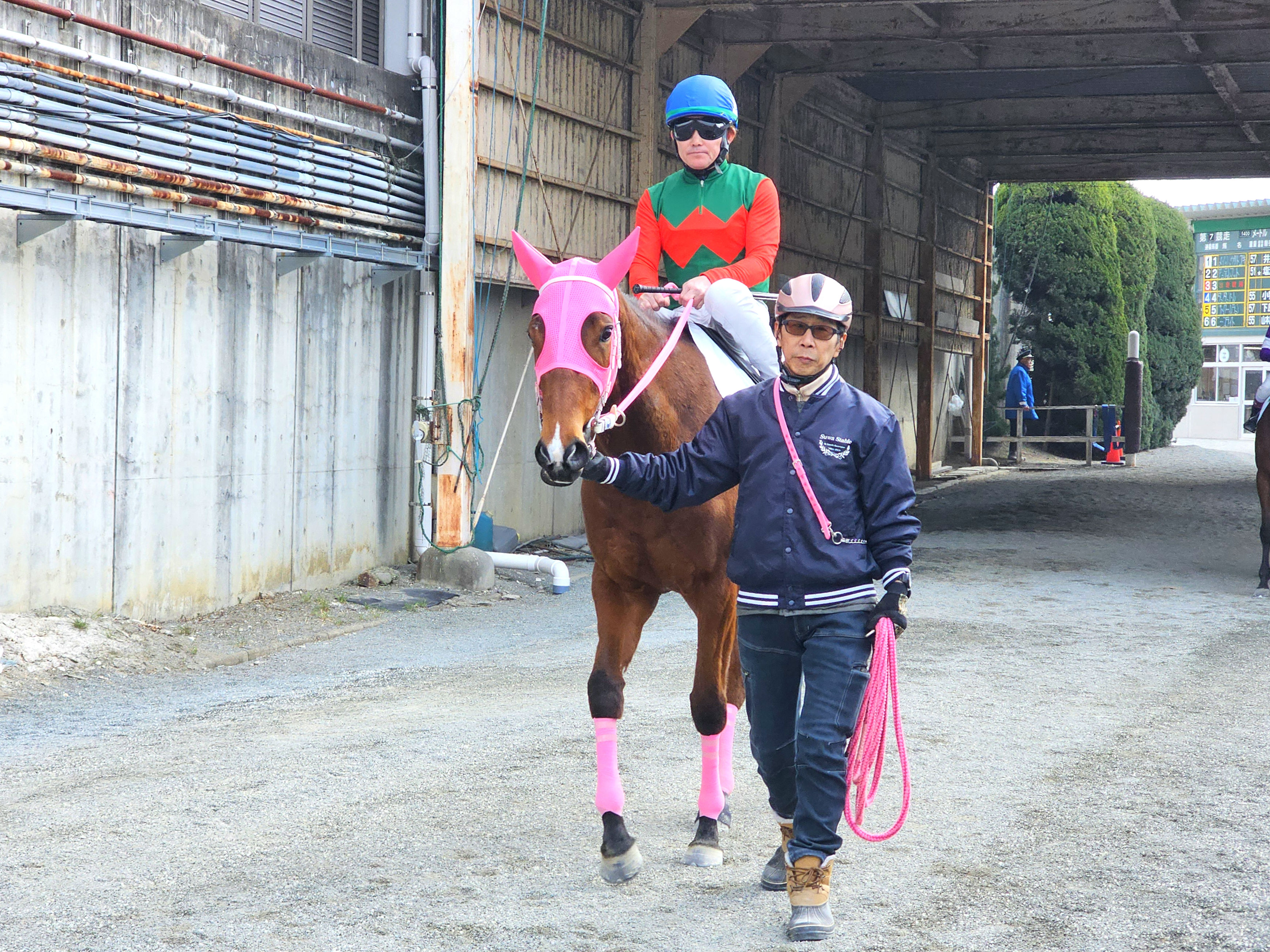 タンタンドルの画像