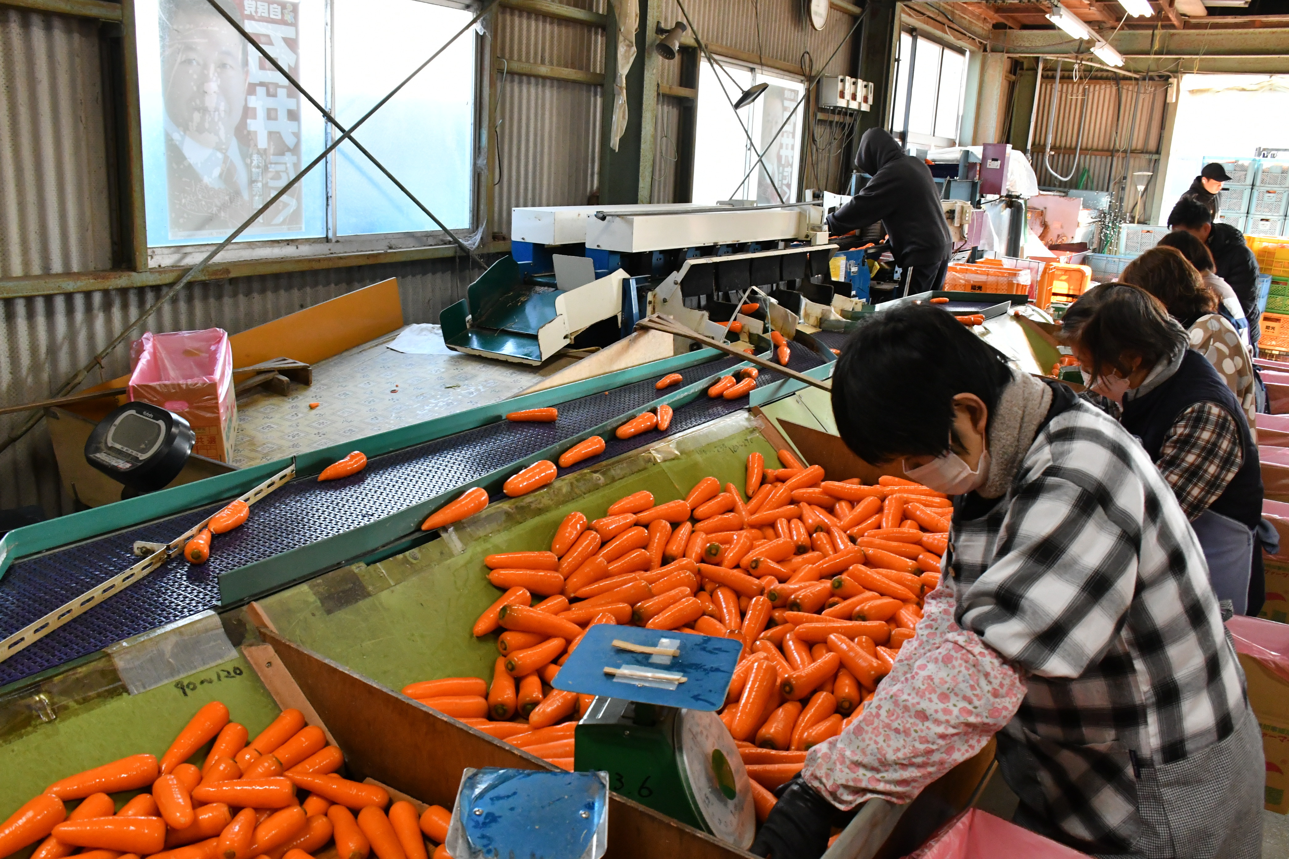 ｢うまぷれ。」サイトが誕生しました。の3枚目画像