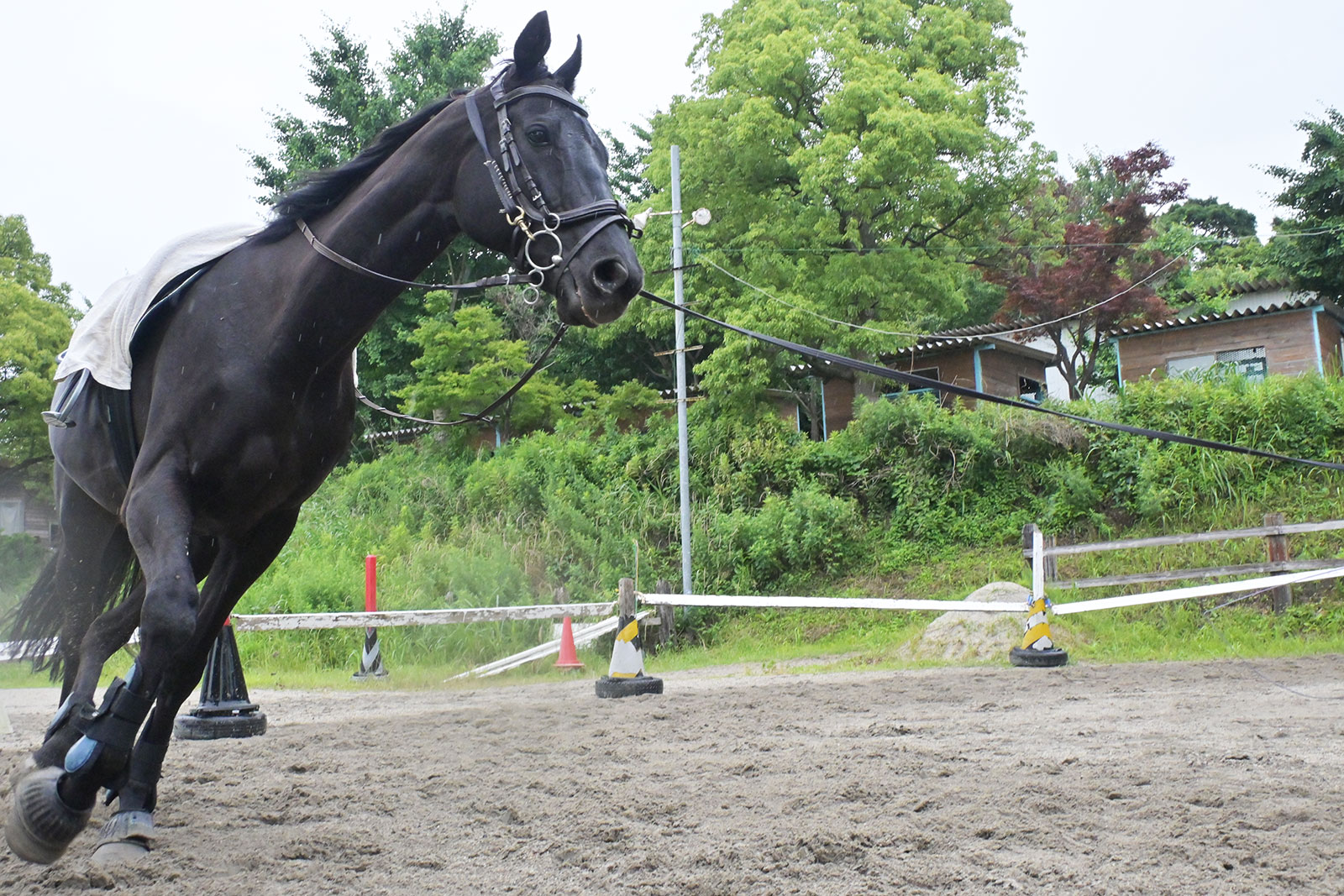 『日本経済新聞』にうまぷれ。のプレスリリースについて掲載されました