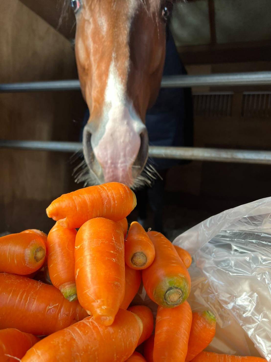 11月『うまのおやつ』を贈っていただいた皆様、ありがとうございました！