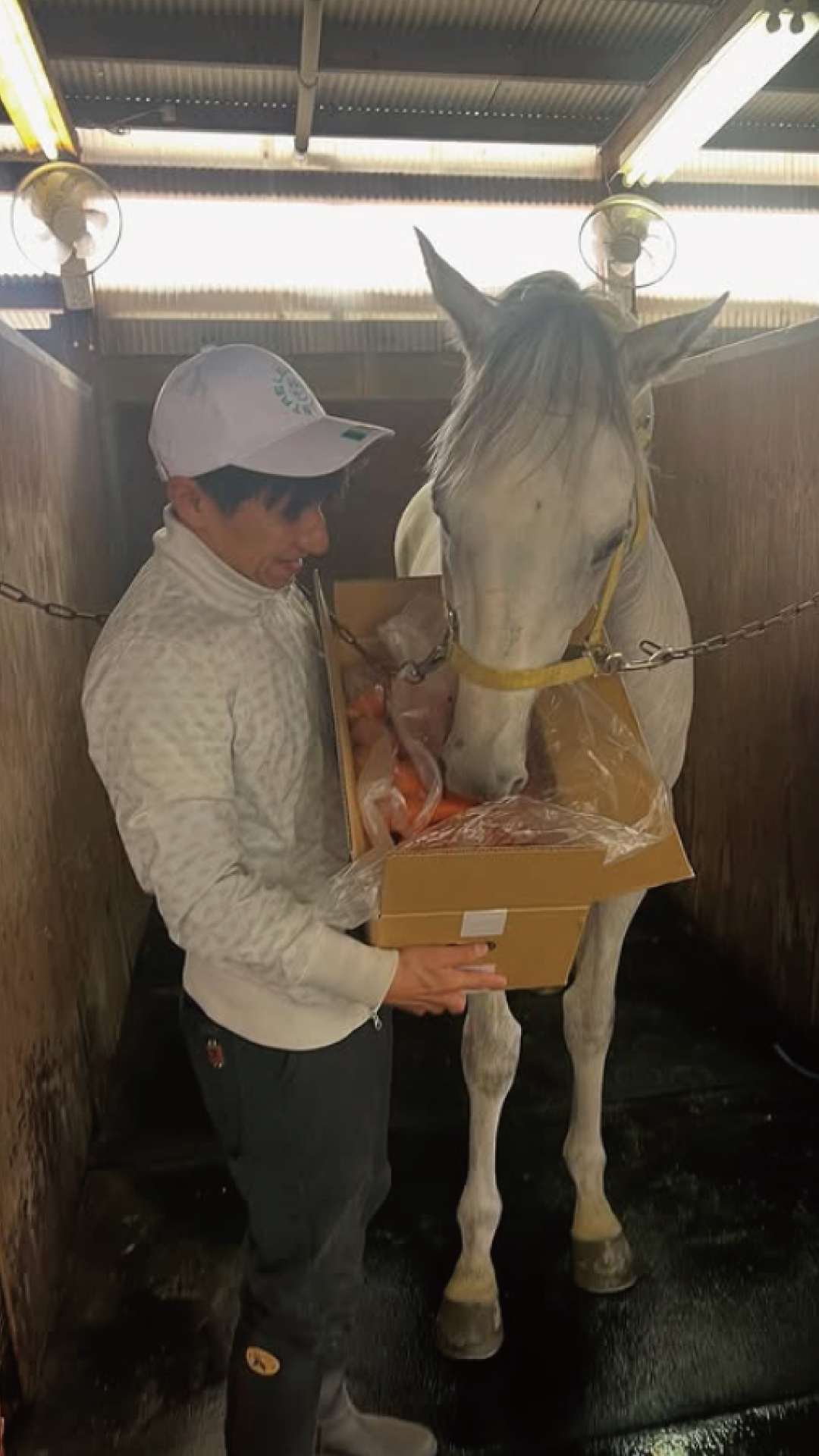 11月『うまのおやつ』を贈っていただいた皆様、ありがとうございました！の4枚目画像