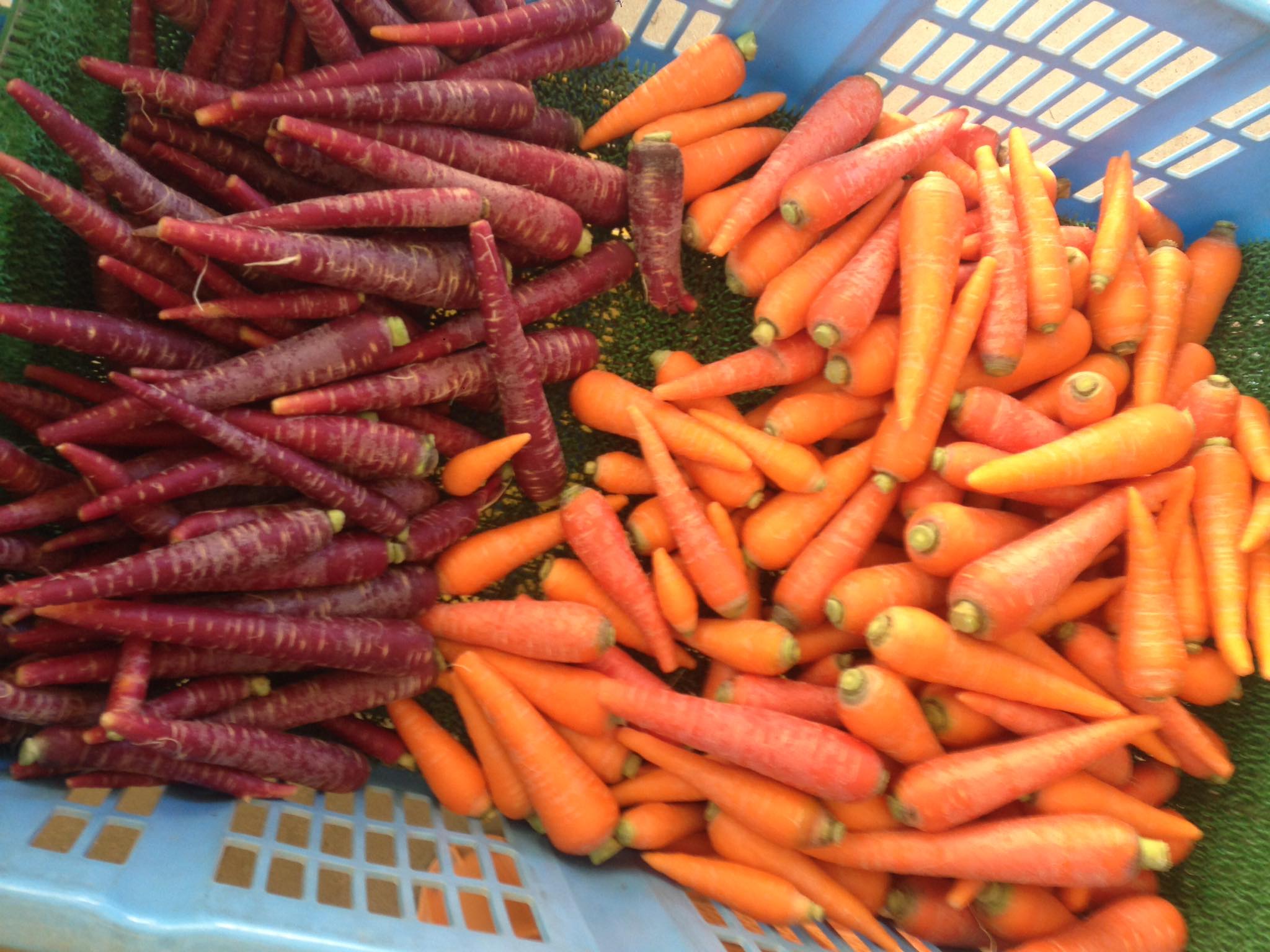 （重要）年末年始のうまのおやつ受付と日時指定につきまして