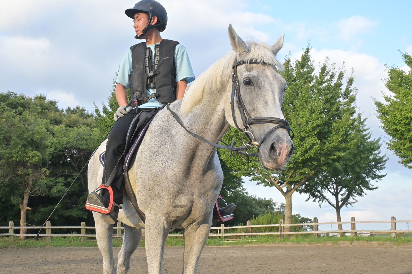 12月『うまのおやつ』を贈っていただいた皆様、ありがとうございました！の2枚目画像