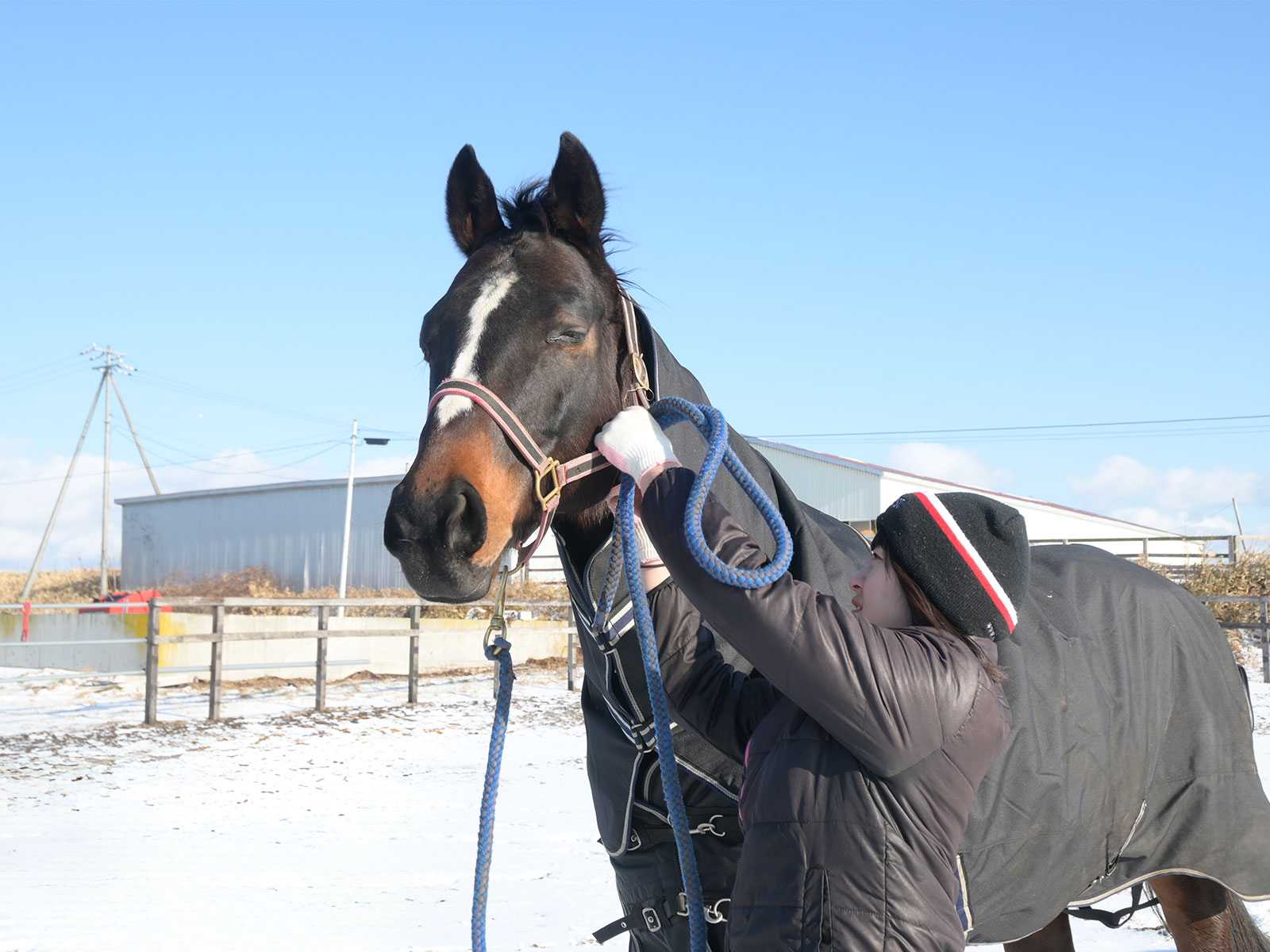 Stable Happy Voyageのサンツェッペリン、サンアップルトン、サンビュート、が参加しました！の2枚目画像