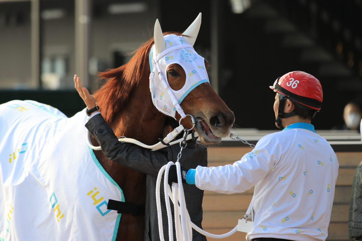 船橋競馬大津剛厩のキャラメルスライムが参加しました！