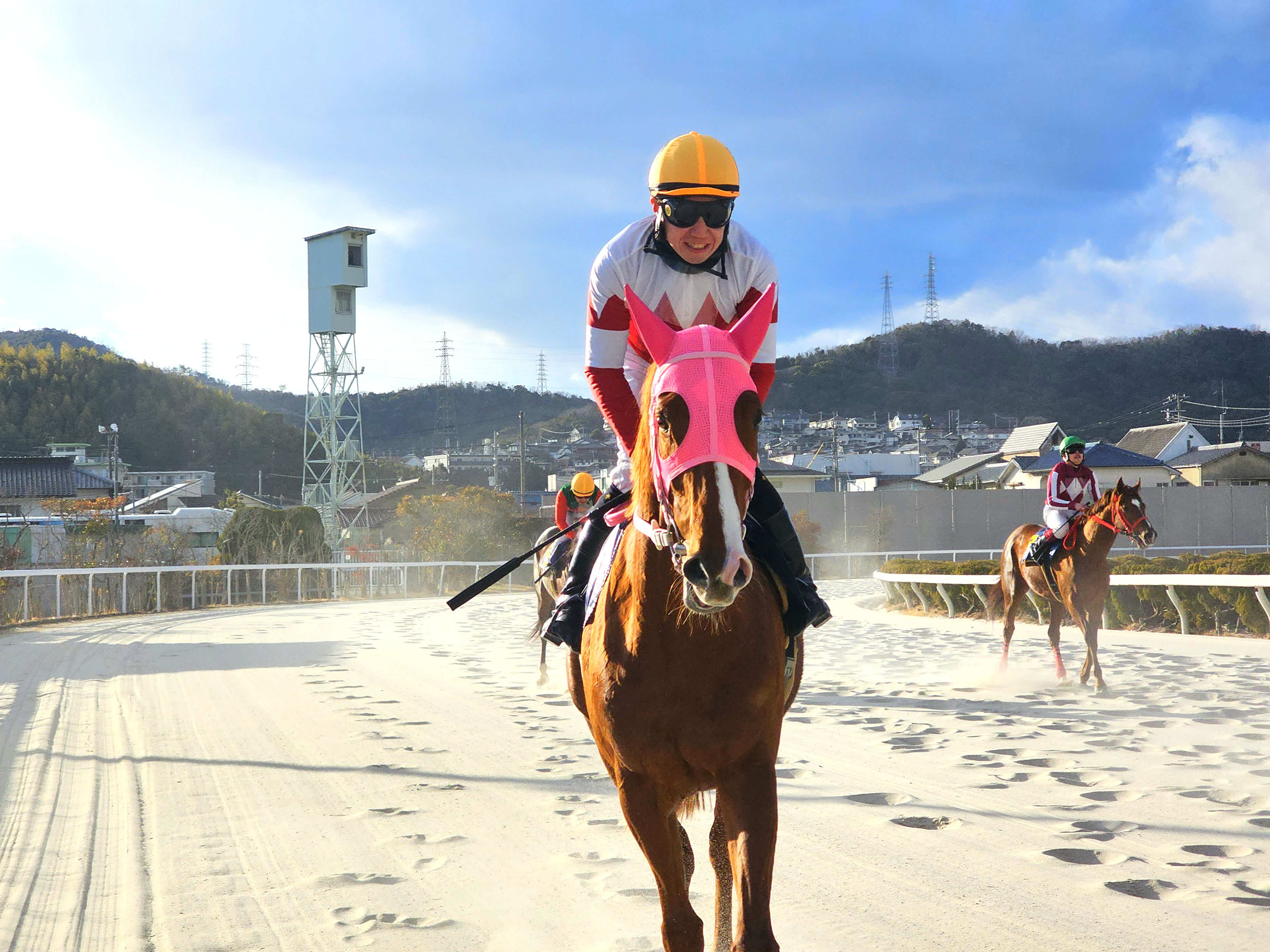 諏訪厩舎のお馬さん25頭が参加しました！の4枚目画像
