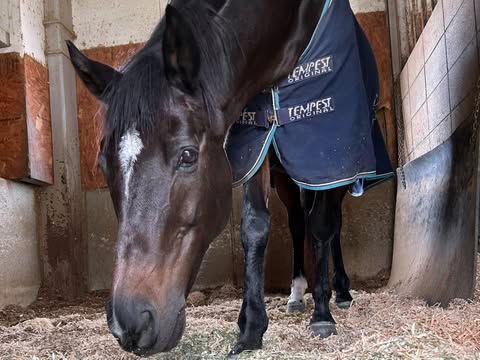1月『うまのおやつ』を贈っていただいた皆様、ありがとうございました！の3枚目画像