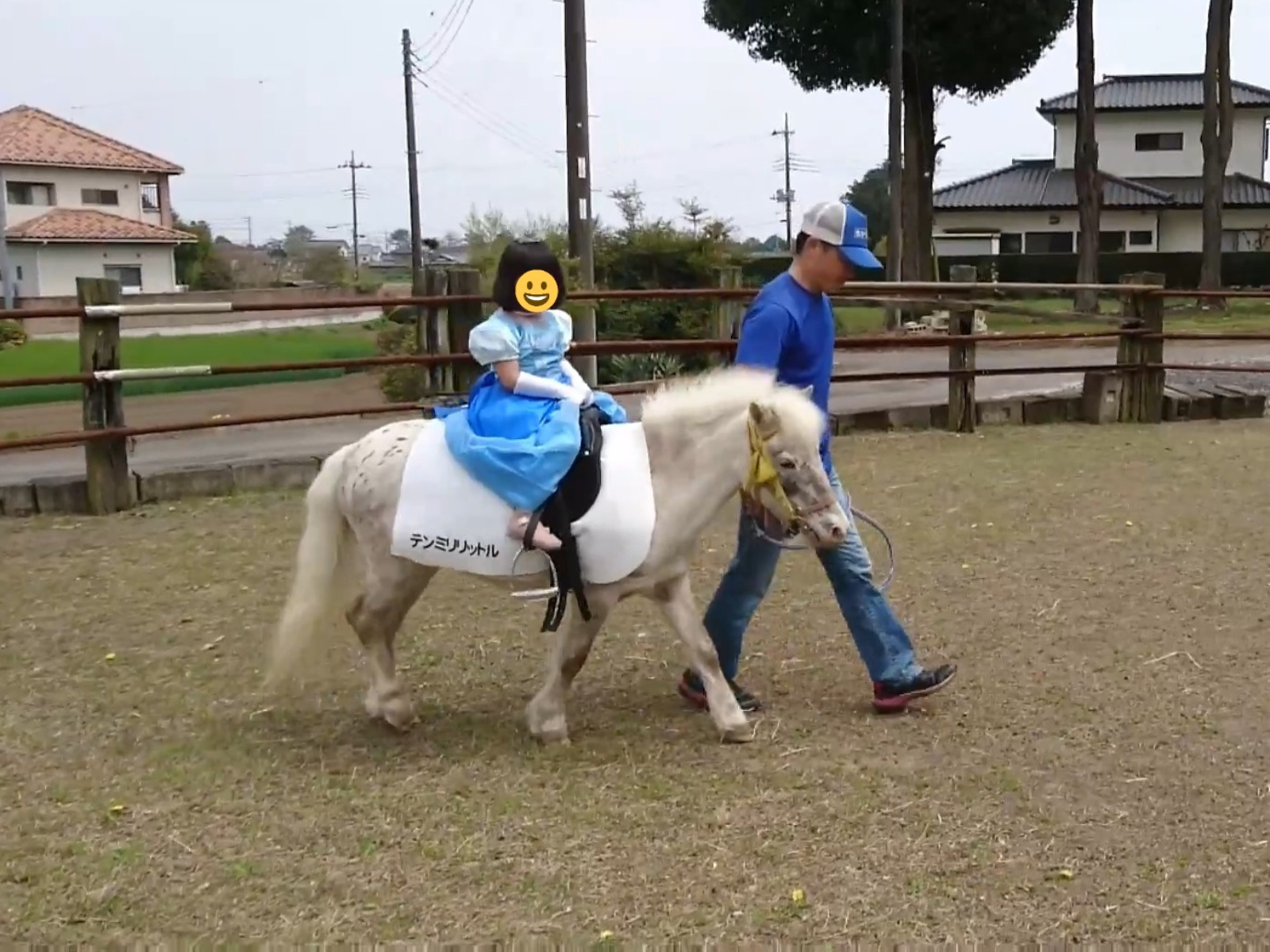 ちびうま団の2頭のお馬さんが参加しました。