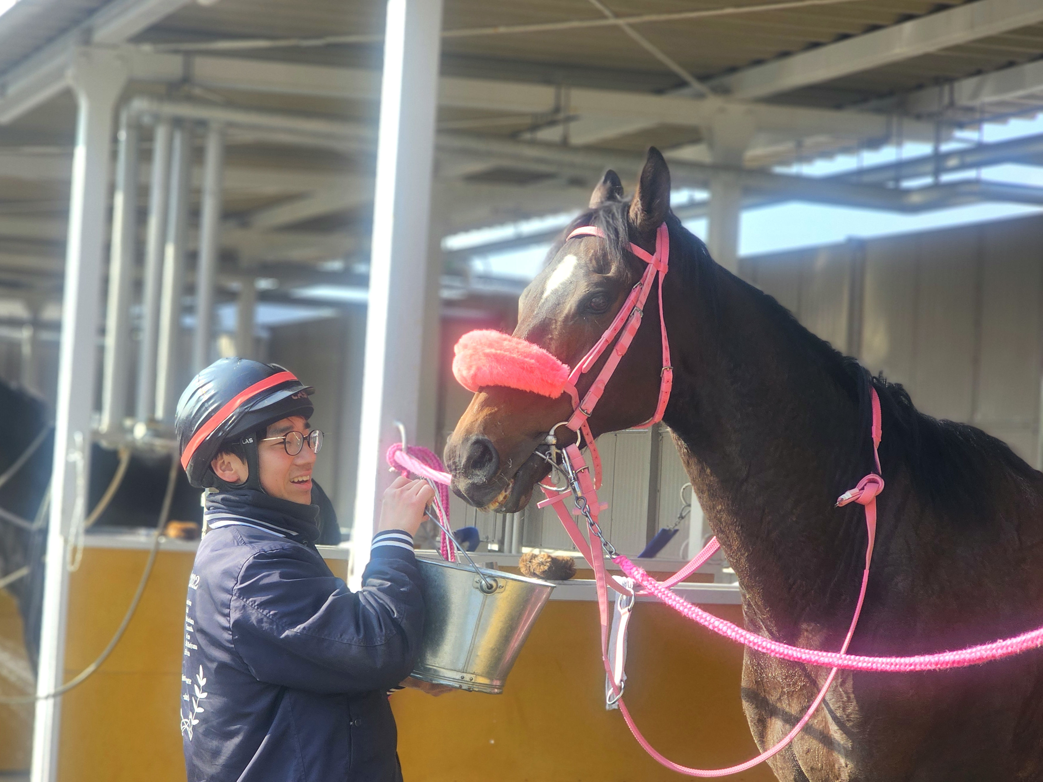 諏訪貴正厩舎のブレーヴウィザードが参加しました