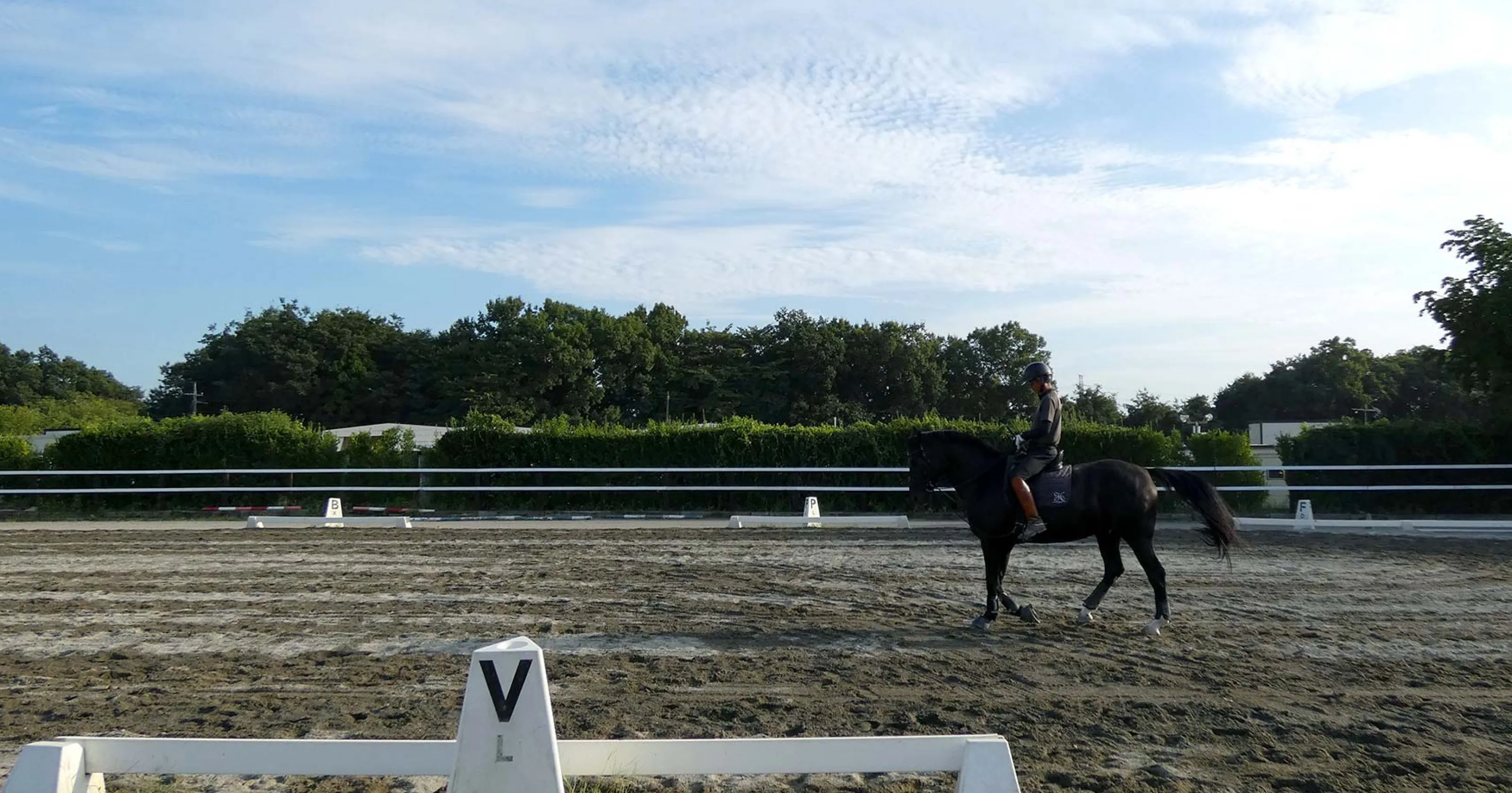 乗馬のイメージ